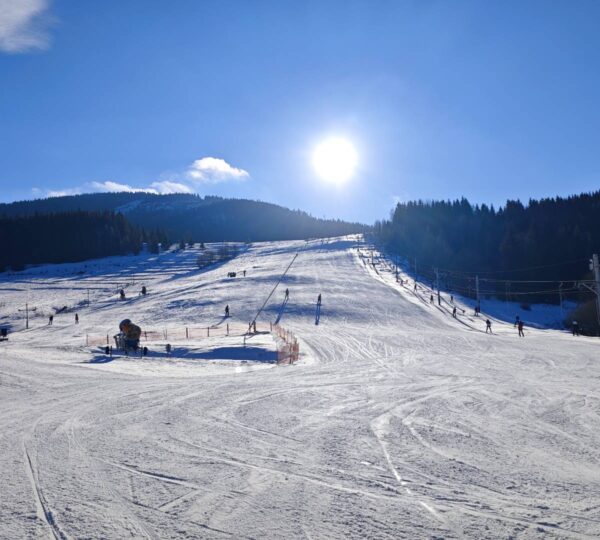 Lyžiarsky kurz - SKI Telgárt